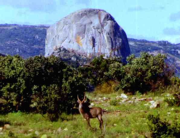 A bornhardt in Nyanga Zimbabwe